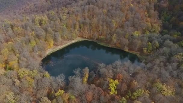 Vol Par Drone Dessus Lac Caché Gosh Dans Les Forêts — Video