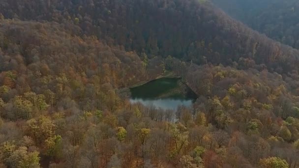 Vol Par Drone Dessus Lac Caché Gosh Dans Les Forêts — Video