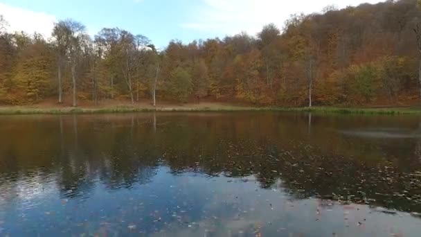 Vol Par Drone Dessus Lac Caché Gosh Dans Les Forêts — Video