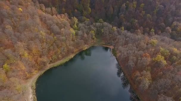 Vol Par Drone Dessus Lac Caché Gosh Dans Les Forêts — Video