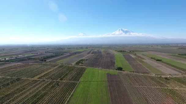 Mout Ararat アルメニアからの眺望 — ストック動画