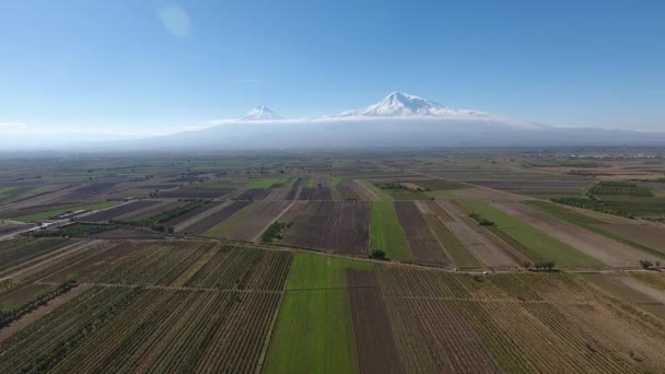 Scenic View Mout Ararat Armenia — Stock Video