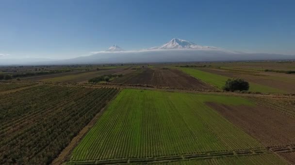 Scenic View Mout Ararat Armenia — Stock Video