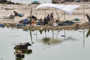 Belgesel yayın. Yaklaşık, Rameswaram, Rameshwaram, Pamban Adası, Tamil Nadu, Hindistan - 2018 Mart. Kimliği belirsiz zavallı yerel geleneksel balıkçı çöp ve inek ve keçi, bezler ile yapılmış çadır altında ortasında sahilde yaşayan.