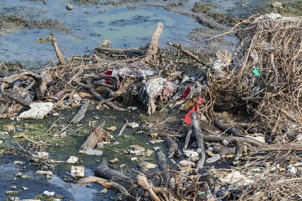 Belgesel yayın. Yaklaşık, Rameswaram, Rameshwaram, Pamban Adası, Tamil Nadu, Hindistan - 2018 Mart. Kimliği belirsiz zavallı yerel geleneksel balıkçı çöp ve inek ve keçi, bezler ile yapılmış çadır altında ortasında sahilde yaşayan.