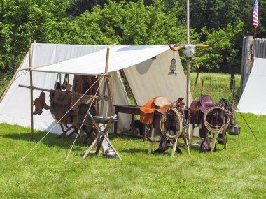 Tipik Hint trent ile saadles atlar için