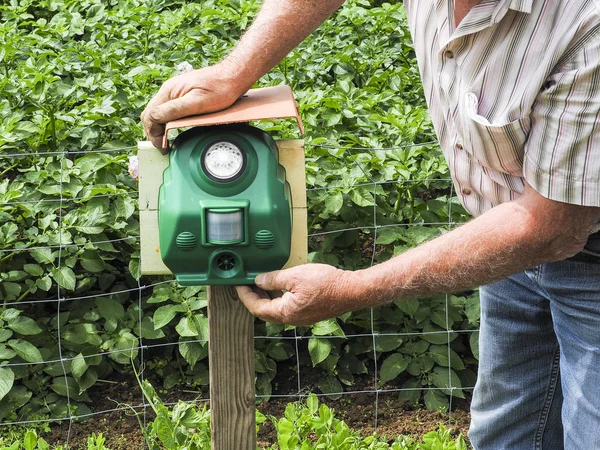Elektronik makine korkutup kaçırmak için bahçe önüne yerleştirilen korkutmak sadece kuşlar ama vahşi hayvanlar. Fransa