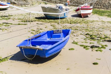 Racine, Cherbourg, Normandy, Fransa - Haziran yaklaşık, 2018 bağlantı noktası. Küçük tekneler en küçük Fransa bağlantı noktasını, bağlantı noktası Racine, Cotentin Yarımadası'nda gemide askıya