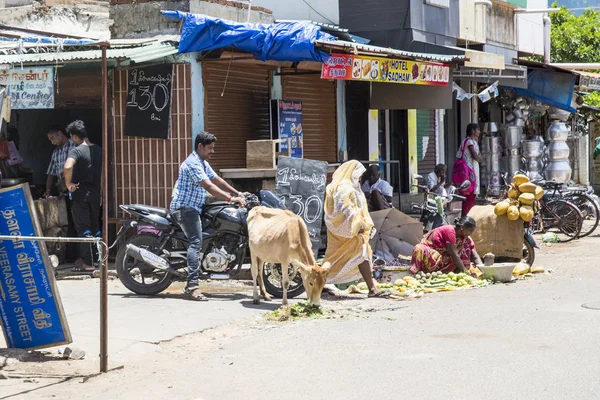 Pondichery, Puducherry, Tamil Nadu, Hindistan - Eylül yaklaşık, 2017. Hint sokak satıcısı ile taze sebze ve meyveler yol boyunca farklı sahneleri.