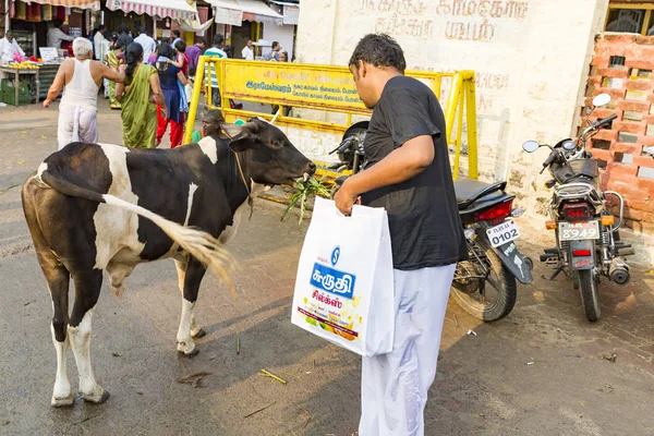 Kimliği Belirsiz Kişi Kutsal Nekler Rameswaram City Gate Yakınındaki Sokak — Stok fotoğraf