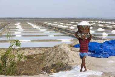 Yaklaşık, Pondichery, Puducherry, Tamil Nadu, Hindistan - 2018 Mart. Ahşap sepet tuz kafasına dolu taşıyan ve tuz sahada markete yürüme tanımlanamayan işçi.