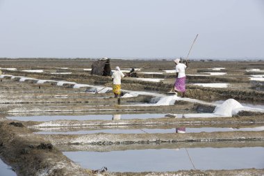 Yaklaşık, Pondichery, Puducherry, Tamil Nadu, Hindistan - 2018 Mart. Kimliği belirsiz erkek işçi alacak, büyük tuz alanları, işçilik, organik tarım, çok zor iş tuz toplama