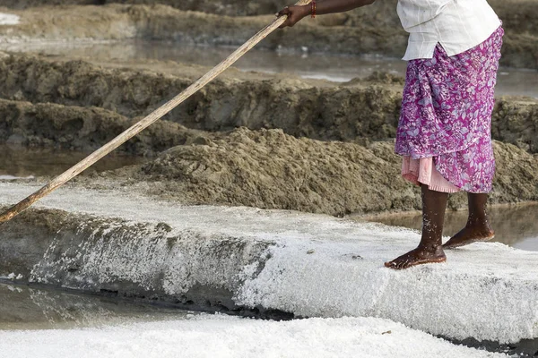 PONDICHERY, PUDUCHERRY, TAMIL NADU, INDIA - MARCH CIRCA, 2018. Close-up Unidentified women workers picking up, collecting the salt, in big salt fields, manual labour, organic agriculture, very hard job