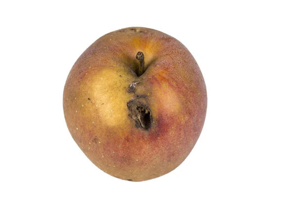 Βαρετό Ίχνος Ενός Codling Σκώρο Cydia Pomonella Ένα Σκωληκώδης Μήλο — Φωτογραφία Αρχείου