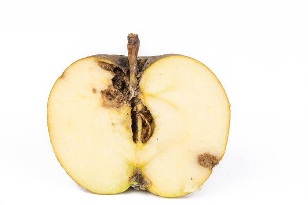 Close up Boring trace of a codling moth Cydia Pomonella, in a half middle wormy apple. On white background. Scab, oidium, mushroom