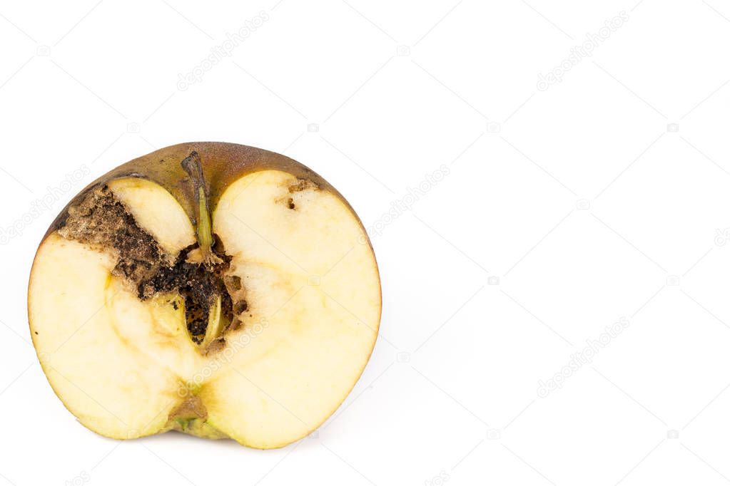 Close-up Boring trace of a codling moth Cydia Pomonella, in a half wormy apple. On white background. Place to write