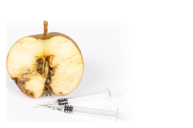 Yakın çekim sıkıcı bir yarım kurtlu elma codling güve Cydia Pomonella, iz. Beyaz arka plan üzerinde. Şırınga iğnesi. Kavram olmayan organik gıda ve genetiği değiştirilmiş organizma. Yazmak için bir yer