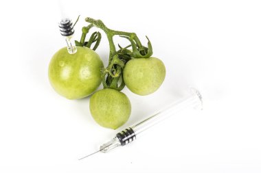 Küçük yeşil domates şırınga ile üzüm. Kavram olmayan organik gıda, genetiği değiştirilmiş organizma. Beyaz arka plan üzerinde. Yazmak için bir yer