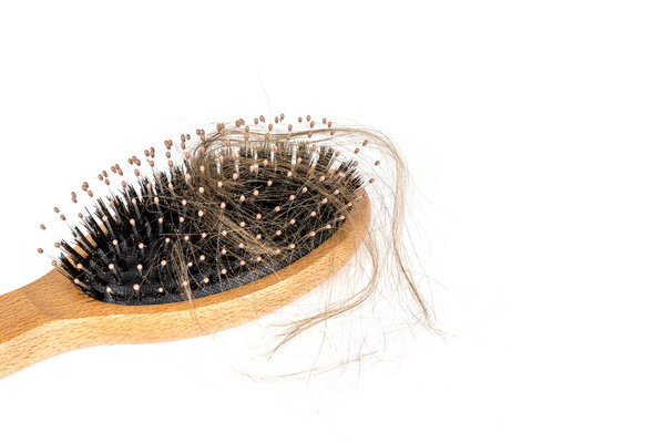 Wood hairbrush on white background. Close-up with long brown hair. Hair loss problem. Health care concept