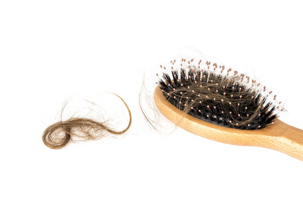 Wood hairbrush on white background. Close-up with long brown hair. Hair loss problem. Health care concept
