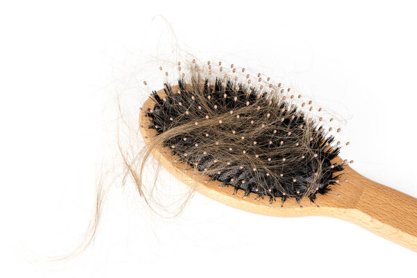 Wood hairbrush on white background. Close-up with long brown hair. Hair loss problem. Health care concept