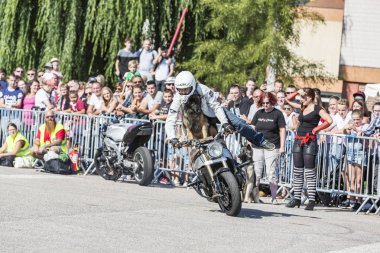 Le özelliği, Seine deniz, Normandy, Fransa - Sepember 01, 2018. Moto show şehir merkezi kare. Atv Dublörler, dublör sürme - Wheelie, Stoppie ve aşırı akrobasi takla bir köpek Tervueren Belçika çoban oturan motosiklet üzerinde hileler 