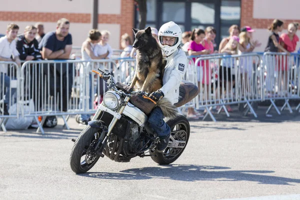 Trait Seine Maritime Normandie Frankrike Sepember 2018 Moto Show Centrala — Stockfoto