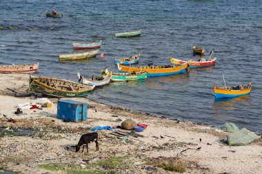 Yaklaşık, Rameswaram, Rameshwaram, Pamban Adası, Tamil Nadu, Hindistan - 2018 Mart. Kimliği belirsiz zavallı yerel geleneksel balıkçı çöp ve inek ve keçi, bezler ile yapılmış çadır altında ortasında sahilde yaşayan.