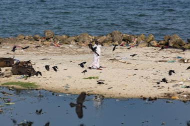 Yaklaşık, Rameswaram, Rameshwaram, Pamban Adası, Tamil Nadu, Hindistan - 2018 Mart. Kimliği belirsiz zavallı yerel geleneksel balıkçı çöp ve inek ve keçi, bezler ile yapılmış çadır altında ortasında sahilde yaşayan.