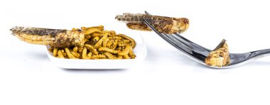Yakın çekim yemeklik yiyecek çerez olarak uygun çatal ile solucan molitors böcekler yemek kızarmış. Beyaz arka plan. Asya Kültür ve protein gıda gelecek. Sağlıklı yaşam konsepti. Afiş boyutu
