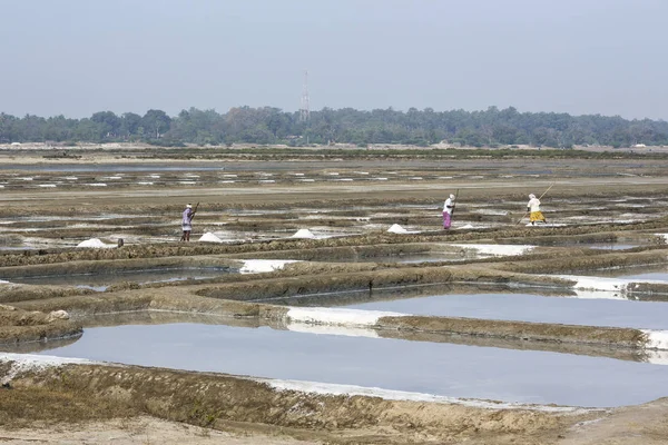 Pondichery Puducherry 泰米尔纳德邦 3月大约 2018 不明身份的工人捡起 收集盐 在大盐地里 体力劳动 有机农业 — 图库照片