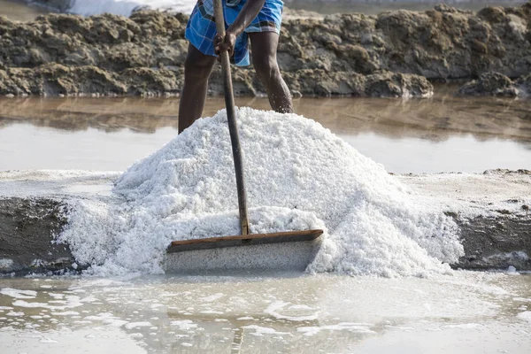 PONDICHERY, PUDUCHERRY, TAMIL NADU, INDIA - MARCH CIRCA, 2018. Close-up Unidentified man workers picking up, collecting the salt, in big salt fields, manual labour, organic agriculture, very hard job