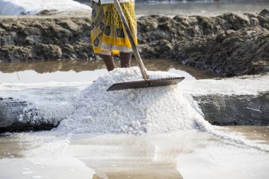 Yaklaşık, Pondichery, Puducherry, Tamil Nadu, Hindistan - 2018 Mart. Yakın çekim kimliği belirsiz kadın işçilerin alacak, büyük tuz alanları, işçilik, organik tarım, çok zor iş tuz toplama
