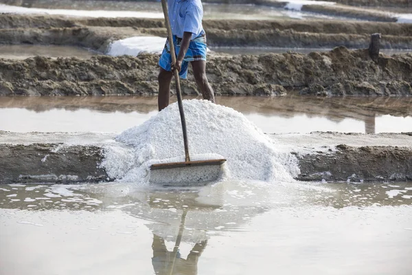 PONDICHERY, PUDUCHERRY, TAMIL NADU, INDIA - MARCH CIRCA, 2018. Close-up Unidentified man workers picking up, collecting the salt, in big salt fields, manual labour, organic agriculture, very hard job