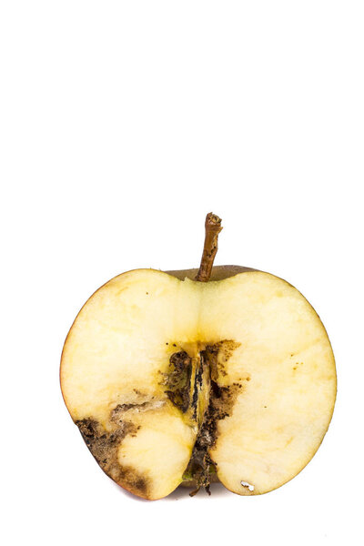 Close-up Boring trace of a codling moth Cydia Pomonella, in a half wormy apple. On white background. Place to write