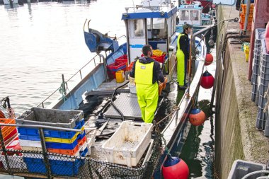 St Vaast, Normandy, Fransa - Aralık yaklaşık, 2018. Balıkçı taze catch salyangozu deniz ürünleri balıkçı teknesi gelen kutularıyla boşaltma. St Vaast ve yakındaki Barfleur popüler yaz tatil Normandiya bölgesi.