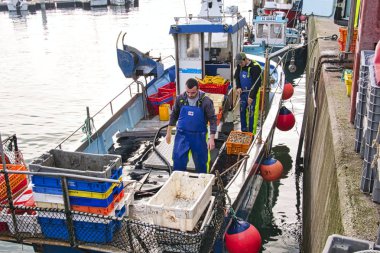 St Vaast, Normandy, Fransa - Aralık yaklaşık, 2018. Balıkçı taze catch salyangozu deniz ürünleri balıkçı teknesi gelen kutularıyla boşaltma. St Vaast ve yakındaki Barfleur popüler yaz tatil Normandiya bölgesi.
