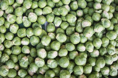 taze çiğ Brüksel lahanası organik pazar sağlıklı