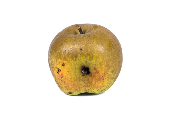 Boring spoor van een kabeljauw mot Cydia pomonella, in een wormy appel. Op witte achtergrond. — Stockfoto