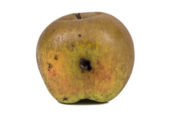 Langweilige Spur einer Apfelwickelmaus Cydia pomonella in einem Wurmapfel. auf weißem Hintergrund. — Stockfoto