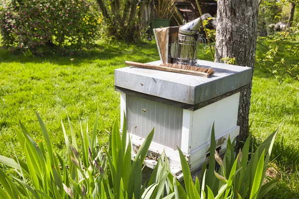 Oude roker staande op de korf. in de tuin is een bijen roker een apparaat dat wordt gebruikt in de bijenteelt om honingbijen te kalmeren. — Stockfoto