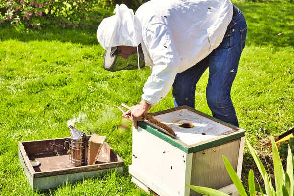 Ένα κουτί από μελίσσια που καπνίζει για να ηρεμήσει τις μέλισσες και να τους ενθαρρύνει να φύγουν από την ανοιχτή κυψέλη, να επιθεωρήσουν την κυψέλη για τα παράσιτα. — Φωτογραφία Αρχείου