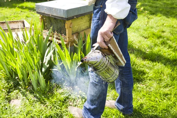 Χέρι του μελισσοκόμος σε προστατευτική ενδυμασία αλλαγή στον παλιό καπνιστή με βούρτσα στον κήπο γκαζόν. — Φωτογραφία Αρχείου