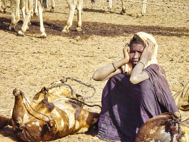 Çöl zemininde, kuyunun suyuyla oturan kimliği belirsiz çocuk keçi derisinden yapılmış bir kabalıkta. Çok fakir bir taşralı çocuk. Afrika'da yoksulluk kavramı