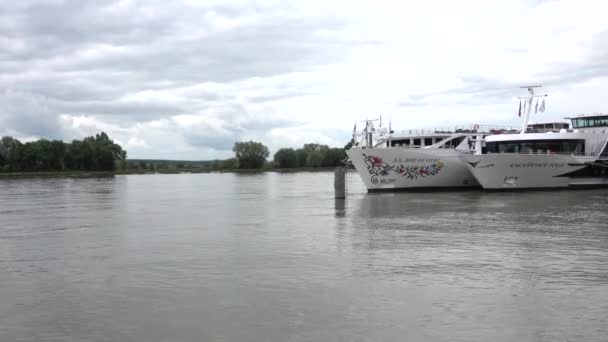 Exposición Internacional Los Veleros Más Grandes Goleta Fragata Barcos Marina — Vídeos de Stock