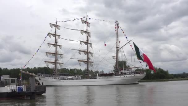 International Exhibition Biggest Sailboats Schooner Frigate Navy Boats Seine Armada — Stock Video