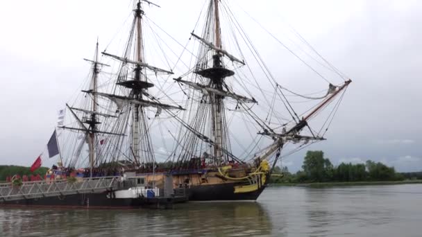 Rouen Fransa Armada Için Seine Büyük Yelkenli Schooner Fırkateyn Donanma — Stok video