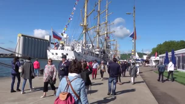 Международная Выставка Самых Больших Парусных Шхун Фрегатов Военно Морских Лодок — стоковое видео