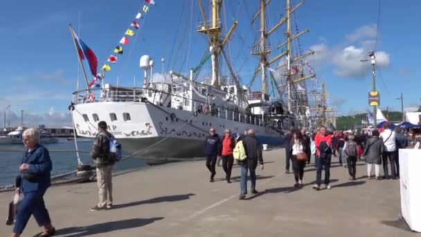 Rouen Fransa Armada Için Seine Büyük Yelkenli Schooner Fırkateyn Donanma — Stok video