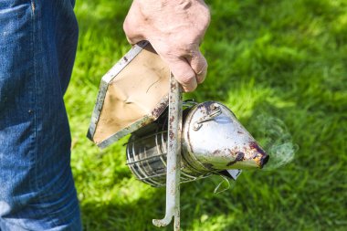 Koruyucu giysiler içinde arıcı eli çim bahçede fırça ile eski sigara içen açma.
